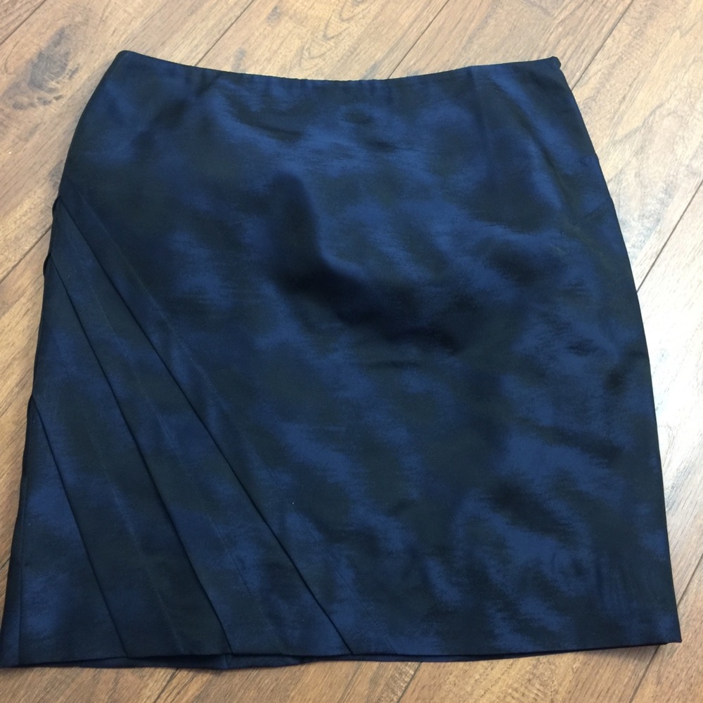 Ann Taylor Skirt